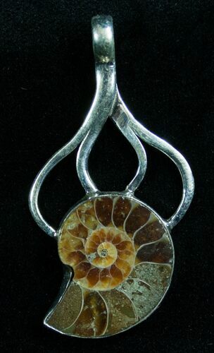 Sterling Silver Ammonite Pendant #7068